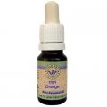 Orange Oil 10ml - Omer HaGalil