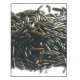 Organic Wild Rice 500 Nizat