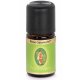 Rose Geranium 10ml - Primavera