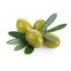 Organic Green Olives 540g - Adama