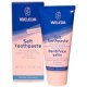 Salt Toothpaste 75 ml Weleda