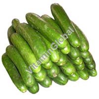 Certified Organic Cucumber Seeds 1g "Natural Green" - Click Image to Close
