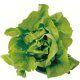 Certified Organic Lettuce Seeds 0.4g "Natural Green"