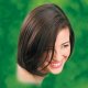 5N Light Chestnut Brown - Naturtint
