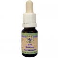 Cinnamon Oil 10 ml - Omer HaGalil