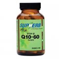 Kosher L'Mehadrin Co Q10 60 mg 60 caps - SupHerb