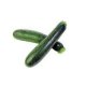Certified Organic Zucchini Seeds 2g "Natural Green"