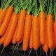 Certified Organic Carrot Seed 0.2g "Natural Green"