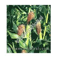 Maydis 50 g "Herba Center" - Click Image to Close