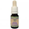 Citronella Oil 10 ml - Omer HaGalil