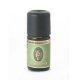 Vanilla Oil 80% 5ml - Primavera