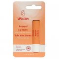 Everon Natural Lip Care 4.8g (0.17 oz) - Weleda