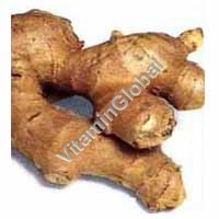 Ginger Powder 50g - Herba Center - Click Image to Close