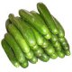 Certified Organic Cucumber Seeds 1g "Natural Green"