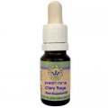 Clary Sage 10ml - Omer HaGalil