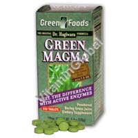 Green Magma Barley Grass Juice 250 tabs "Green Foods" - Click Image to Close