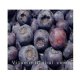 Dried Blueberry 50g "Herba Center / Marshal"