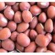 Organic Adzuki Beans 500 g "Nitzat HaDuvdevan"