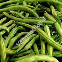 Certified Organic Green Beans Seeds 6g "Natural Green" - Click Image to Close