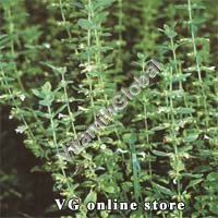 Melissa 40 g "Eldar"/ "Herba Center" - Click Image to Close