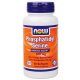 Phosphatidyl Serine 100 mg with Ginkgo Biloba 50 Softgels - NOW Foods