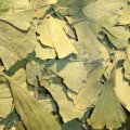 Ginkgo Biloba Leaves 50 g - Herba Center