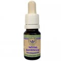 Sandalwood Oil 10 ml - Omer HaGalil