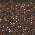 Organic Black Quinoa 500g Nizat Haduvdevan