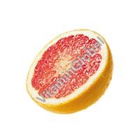 Fresh Organic Red Grapefruit 1 kg "Adama/Harduf" - Click Image to Close