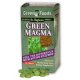 Green Magma Barley Grass Juice 250 tabs "Green Foods"