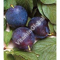Plum Juice 946ml "Yula" - Click Image to Close