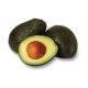 Fresh Organic Avocado 1 kg "Adama / Harduf"