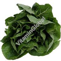 Certified Organic Spinach Seeds 0.25g "Natural Green" - Click Image to Close