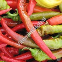 Certified Organic Hot Pepper Seeds 0.3g "Natural Green" - Click Image to Close