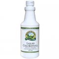 Liquid Chlorophyll 473 ml (16 OZ) - NSP