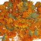 Calendula 50g - Eldar