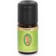 Orange Oil 10 ml - Primavera