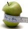 Natural Weight Loss Supplements