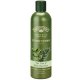 Conditioner Tea Tree Oil & Blue Cypress 350 ml - Nature's Gate