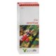 Sallow Thorn Oil 50ml - AromaLife