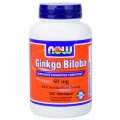 Ginkgo Biloba 60 mg 240 Vcaps - NOW Foods