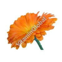 Calendula 50g "Eldar" - Click Image to Close