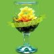 Blooming Jasmine Green Tea 1 psc - Tea Shape