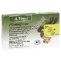 Concentrated Vegetable Cube with Sea Salt "A.Vogel" - Click Image to Close
