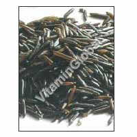 Organic Wild Rice 500 Nizat - Click Image to Close