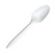 Biodegradable Tea Spoons (pack of 25) - Green Israel