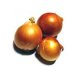 Organic Onion 1 kg "Adama / Harduf"