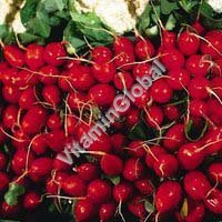 Certified Organic Radish Seed 1g "Natural Green" - Click Image to Close