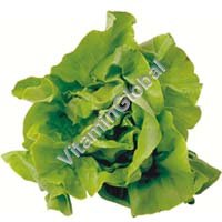 Certified Organic Lettuce Seeds 0.4g "Natural Green" - Click Image to Close