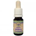 Bergamot Essential Oil 10 ml - Omer HaGalil